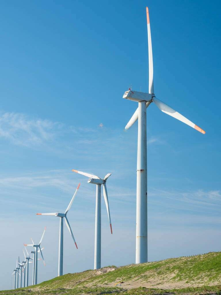 Bluebird turbines